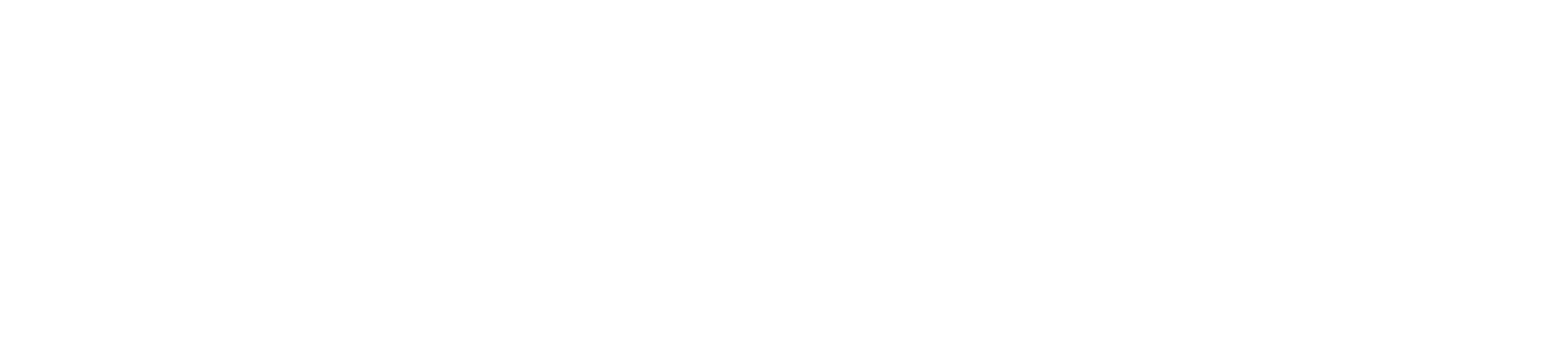 Precision Film Systems